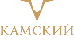cropped-logo-mini.png